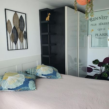Appartement Cosy Entierement Equipe Toulouse Ngoại thất bức ảnh