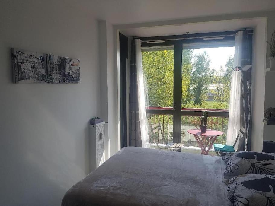 Appartement Cosy Entierement Equipe Toulouse Ngoại thất bức ảnh
