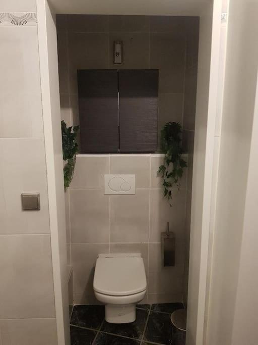 Appartement Cosy Entierement Equipe Toulouse Ngoại thất bức ảnh
