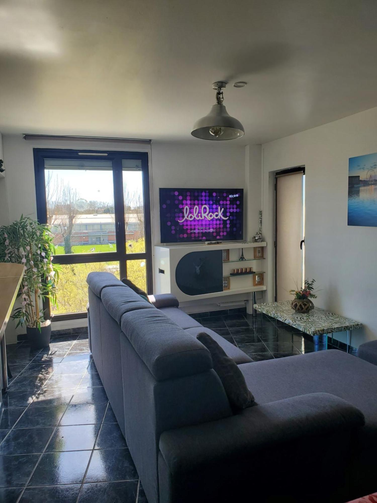 Appartement Cosy Entierement Equipe Toulouse Ngoại thất bức ảnh